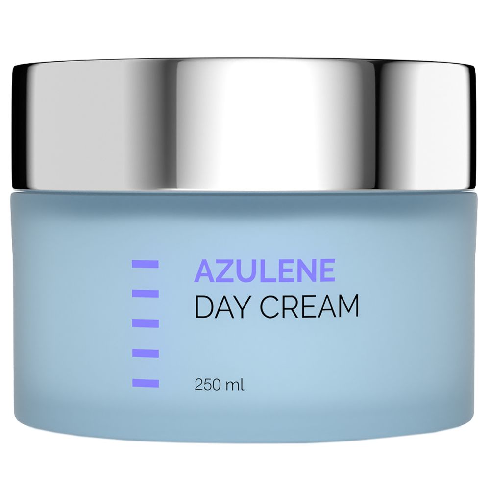 Заспокійливий зволожувальний денний крем для чутливої шкіри Holy Land Azulene Day Cream  - фото 1